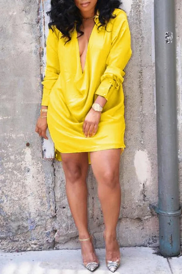 Deep V-Neck Long Sleeve Mini Dress